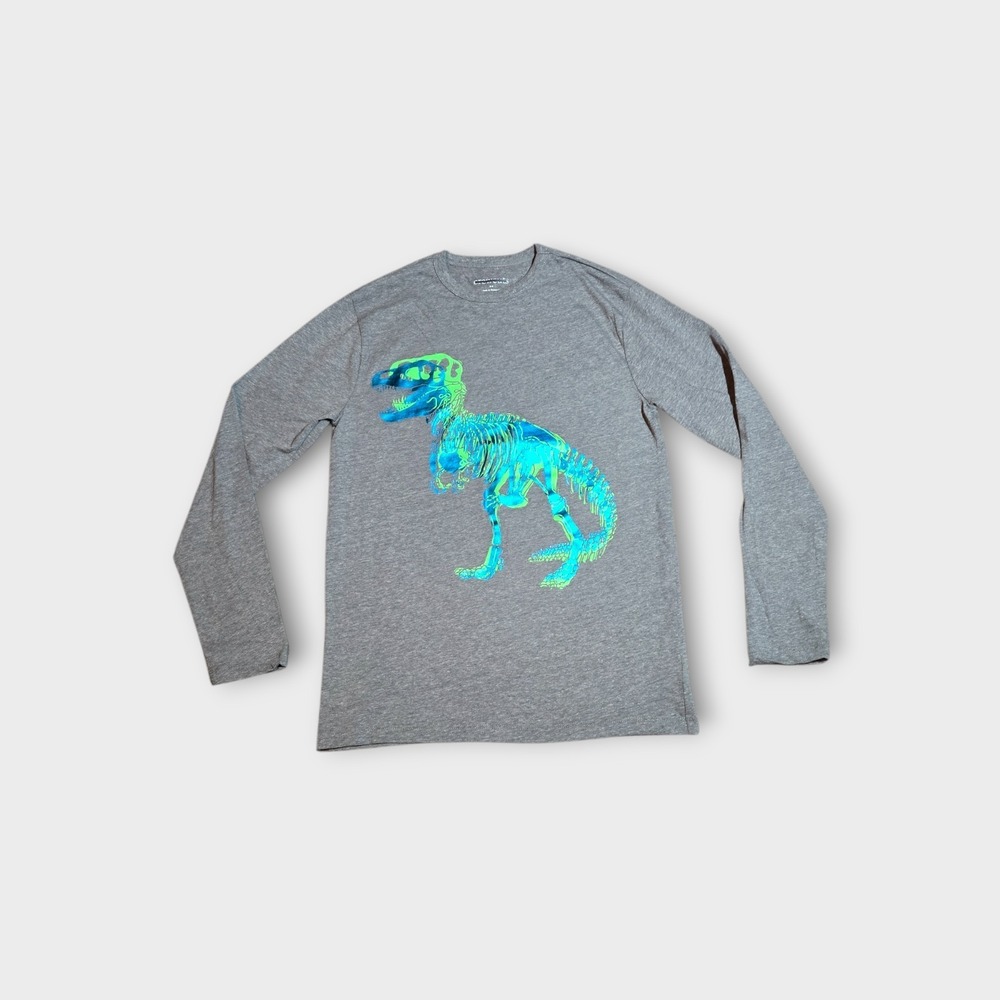 J Crew Crewcuts Graphic T-Shirt Dinosaur Sz 14 Gray
